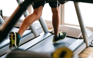 Регулярные физические упражнения помогают стереть страховые воспоминания