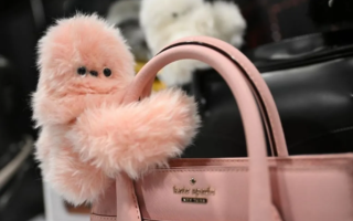 Japanese Robot Mirumi: Your Pocket-Sized Happiness Ambassador