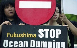 Сброс сточных вод Японии вызывает протесты в Сеуле