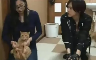 Самая бережливая девушка в Японии