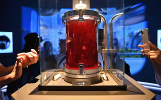 Japanese Scientists Grow a Heart from Patient's Stem Cells