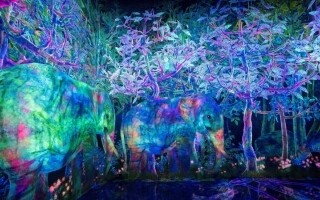 Открытие интерактивных цифровых инсталляций в Токио