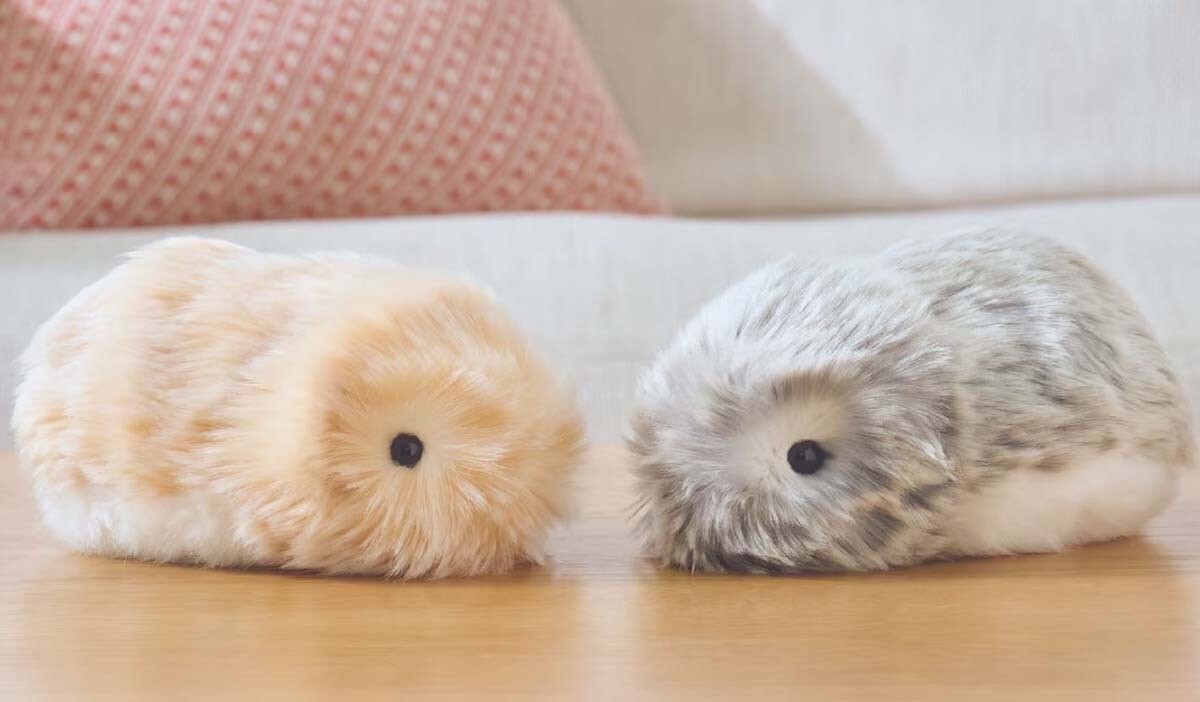 Запуск робота Мофлин в Японии