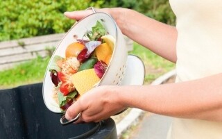 Эксперты рекомендуют использовать прозрачные контейнеры для сокращения пищевых отходов