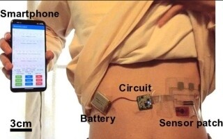 Development of Smart Wearable Sensors in Japan