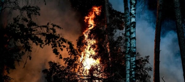 Impact of Climate Change on Fire-Related Health Risks