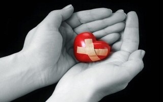 The Journey of Love: Yoshio's Dating Agency Success