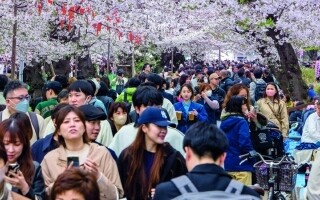 Киото Сталкивается с Переполнением Туристов