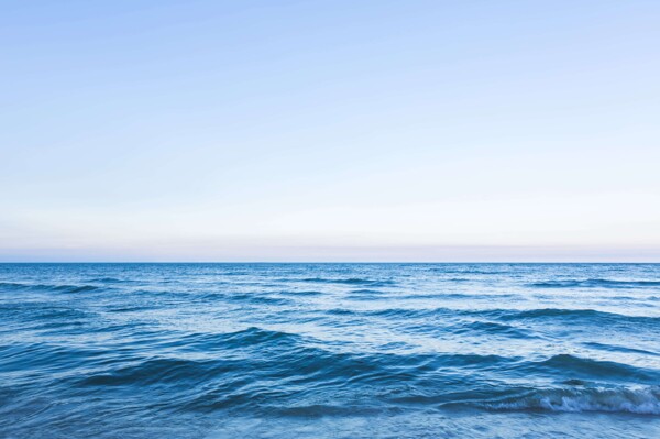 Winners of the 'Underwater Photographer of the Year' Competition