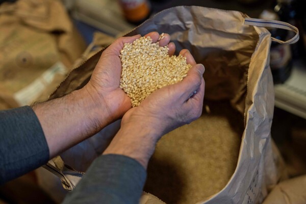 Japan Releases Emergency Rice Reserves