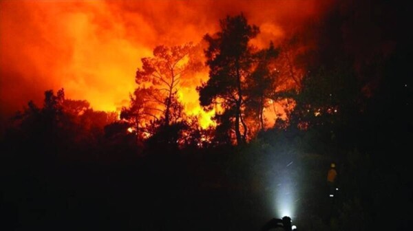 Wildfires Force Thousands to Evacuate in Northern Japan