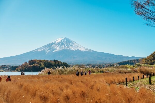 Япония развивает систему прогнозирования пепла