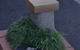 Nagazumi Named World's Smallest Park