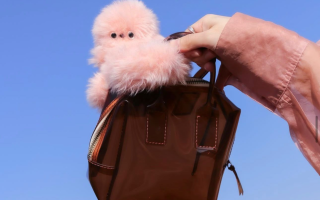 New Robot Mirami: A Competitor to Labubu Dolls