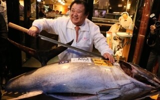 Record-breaking tuna sold in Tokyo for $3.2 million